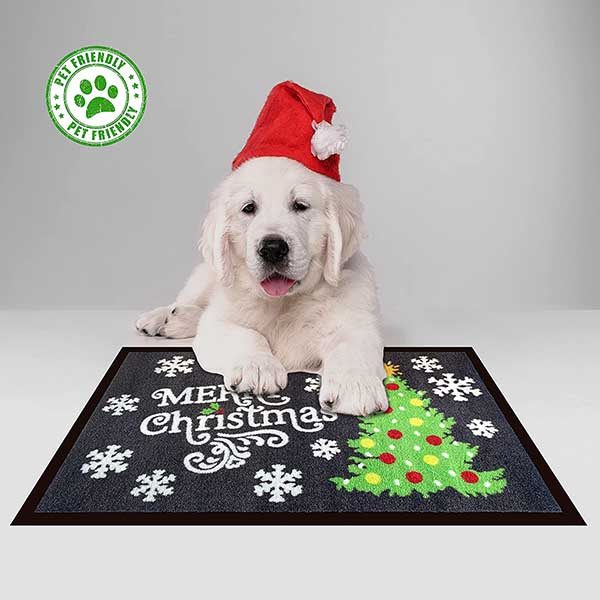 Personalized Non Slip Welcome Mats Doormat Heavy Duty Rubber Floor Mat Funny Christmas Front Indoor Outdoor Mats